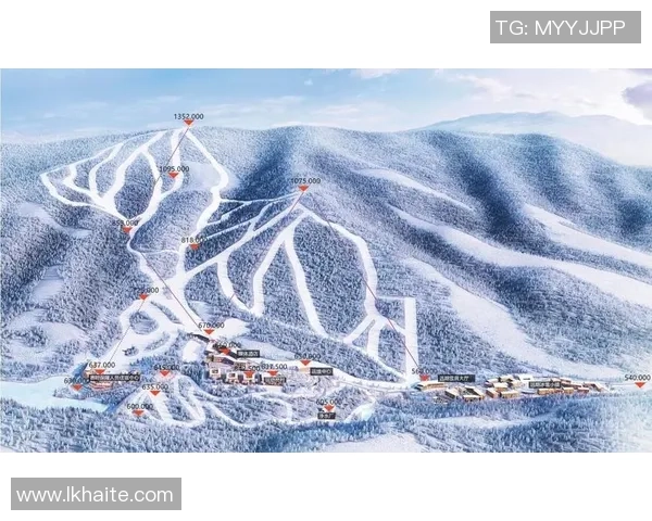 世界雪联赛事首落沈阳 辽宁借力“十五冬”激活冰雪经济